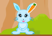 Bunny Crazy Time